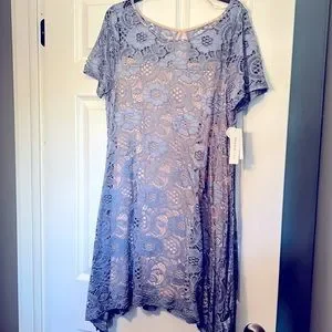 chinese dress ladies Watch ROBBIE BEE Women's Missy Paisley Dress on Amazon Live